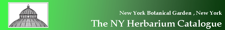 New York Botanical Garden, New York  - The NY Herbarium Catalogue - USA